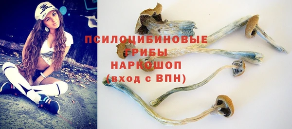 трава Бугульма
