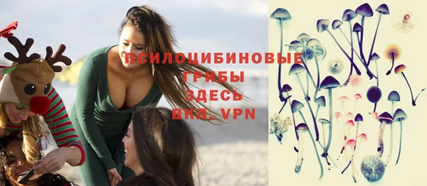 герыч Бронницы