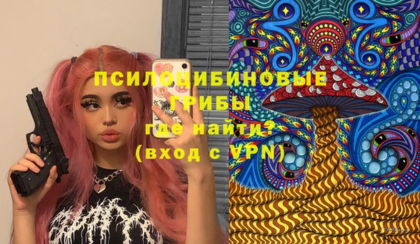 герыч Бронницы