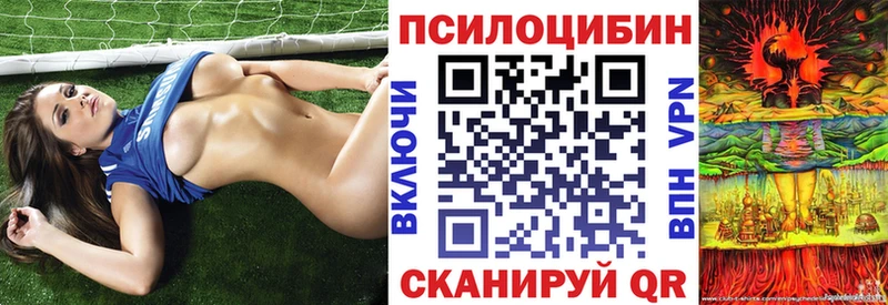 Галлюциногенные грибы Psilocybine cubensis  Рязань 